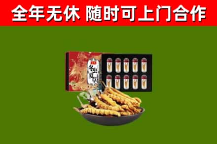 宽城回收冬虫夏草价格